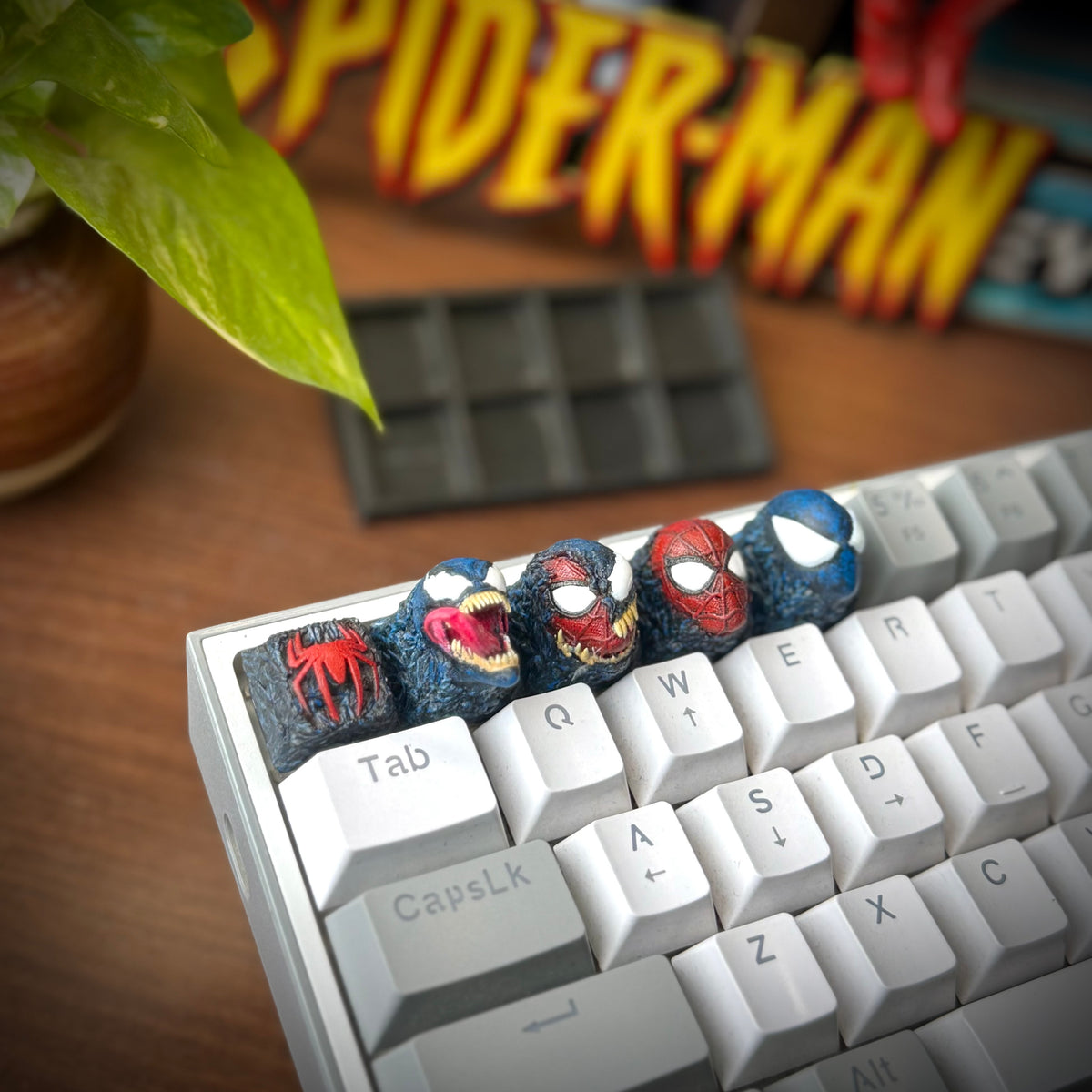 The Spider