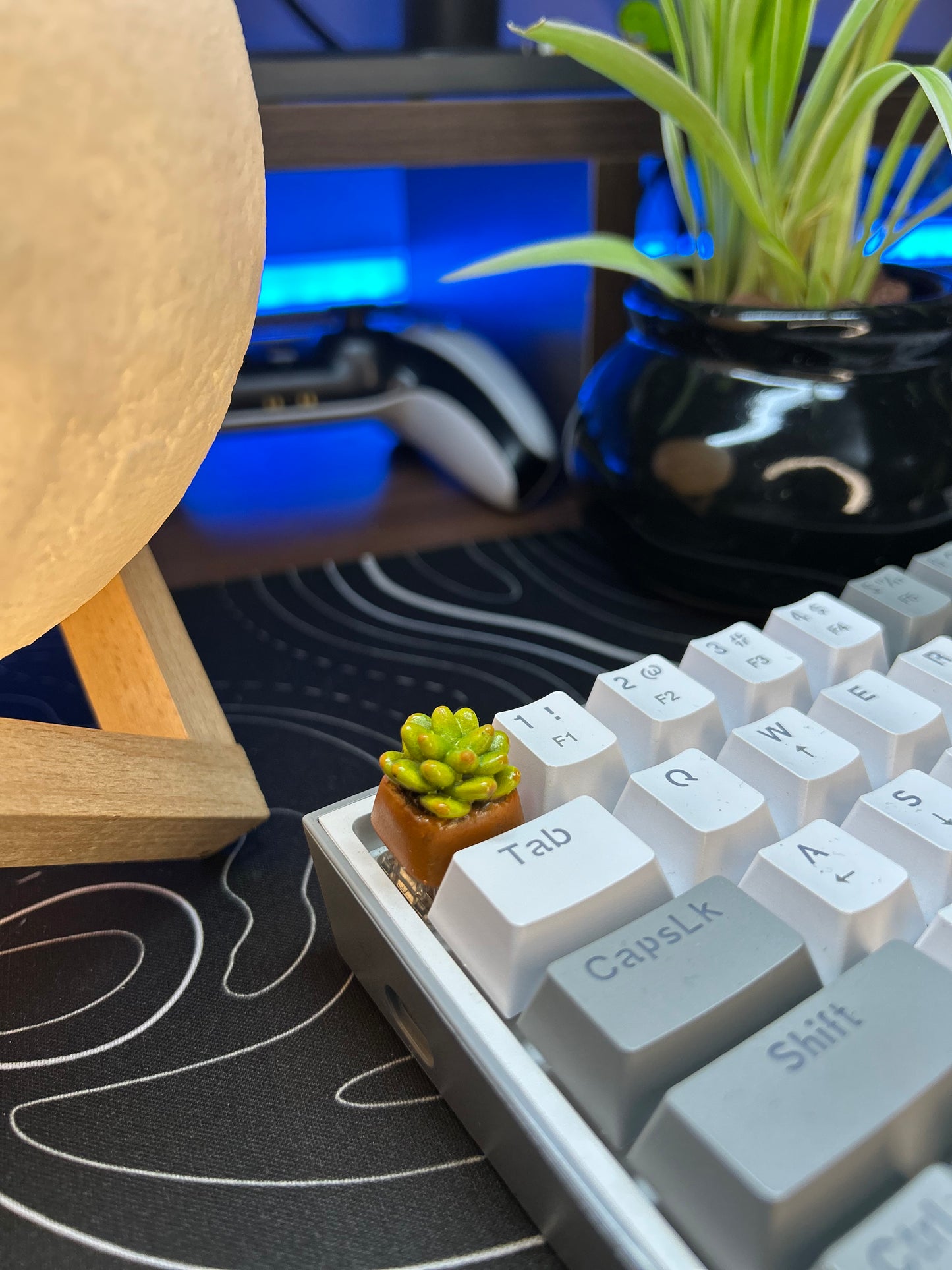 SUCCULENT