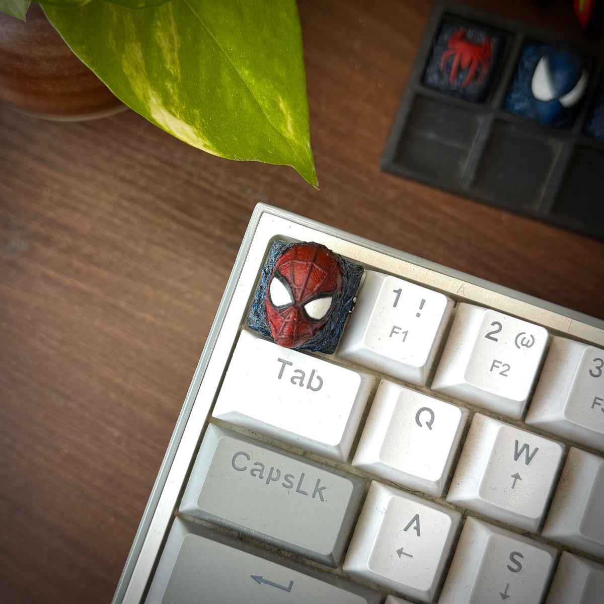 Spidey