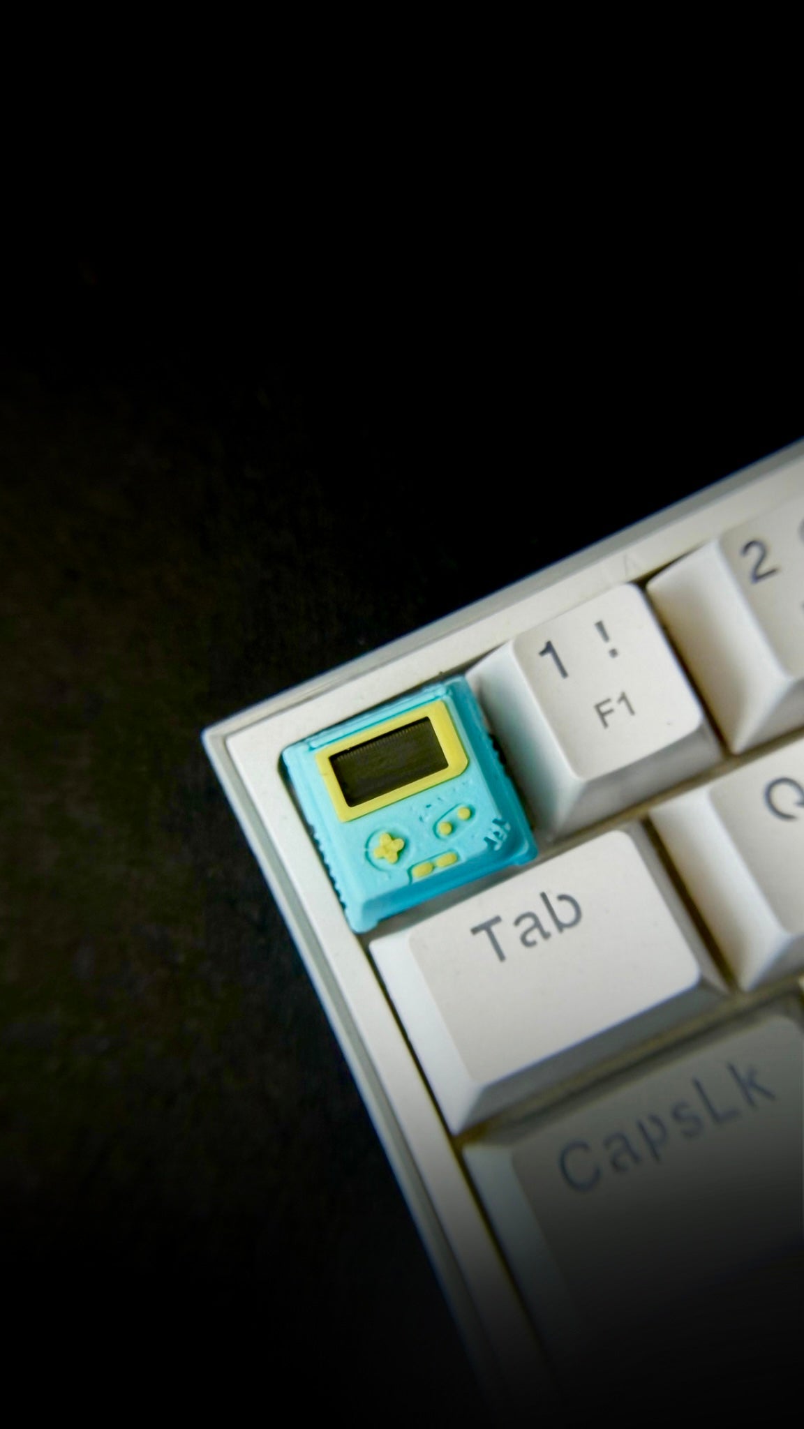 🎁 THE GAMER (100% off)