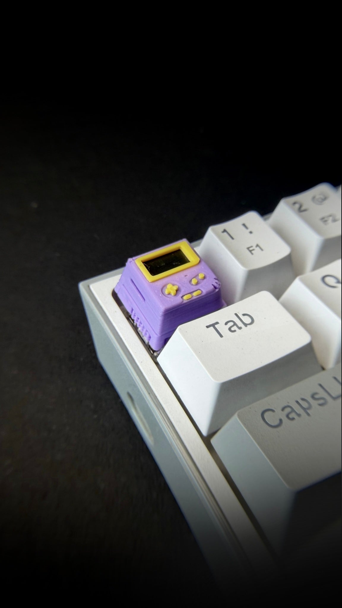 THE GAMER