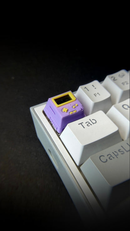 THE GAMER