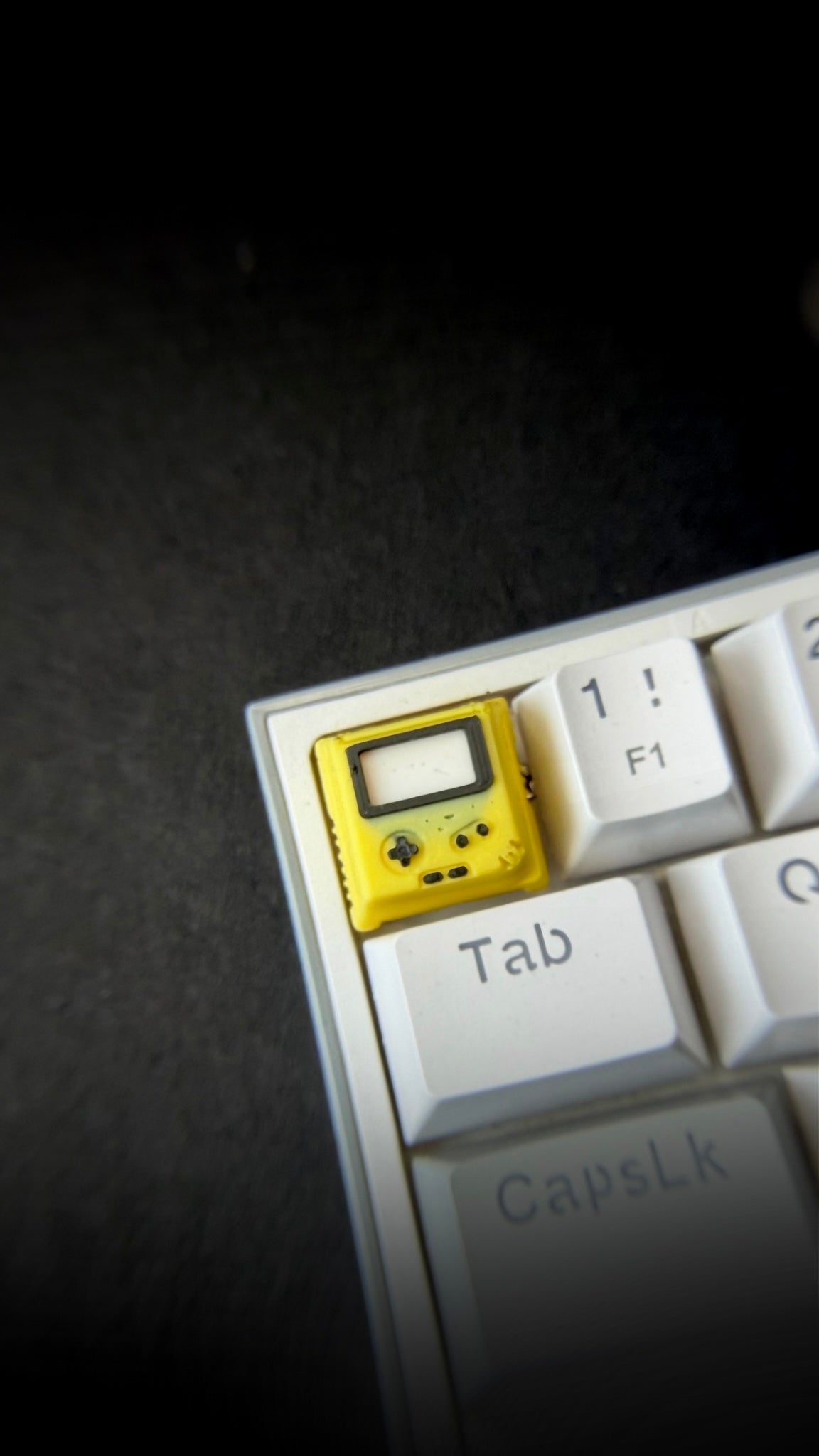 THE GAMER