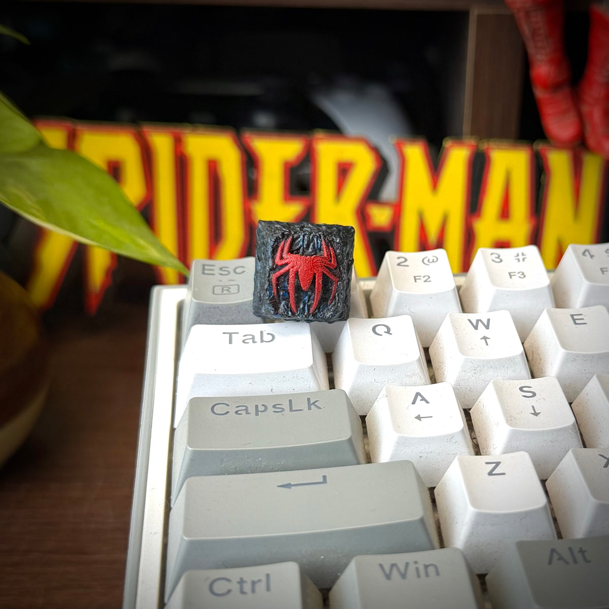 The Spider
