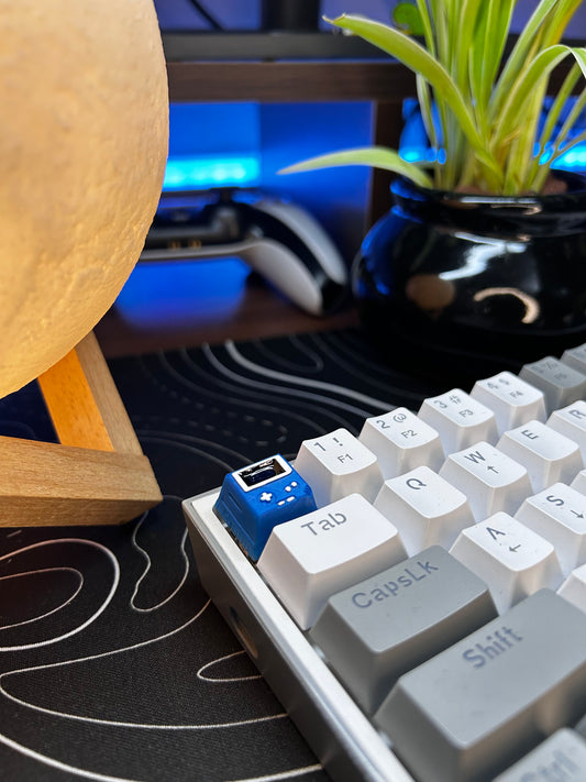 THE GAMER