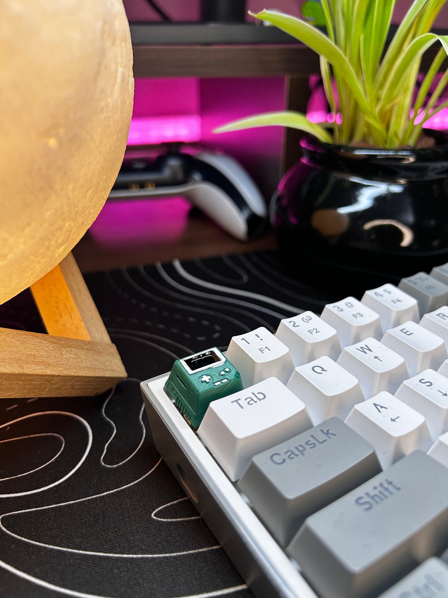 🎁 THE GAMER (100% off)