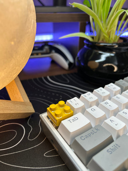 🎁 BUILDING BLOCKS (100% off)